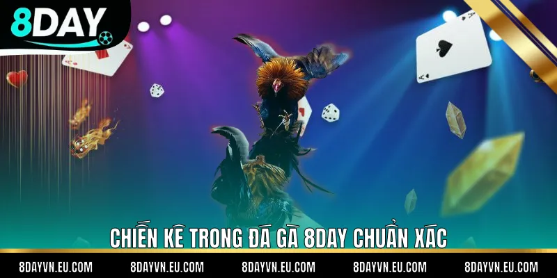 Chiến kê trong đá gà 8day chuẩn xác
