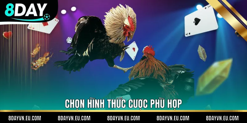 Chọn hình thức cược phù hợp